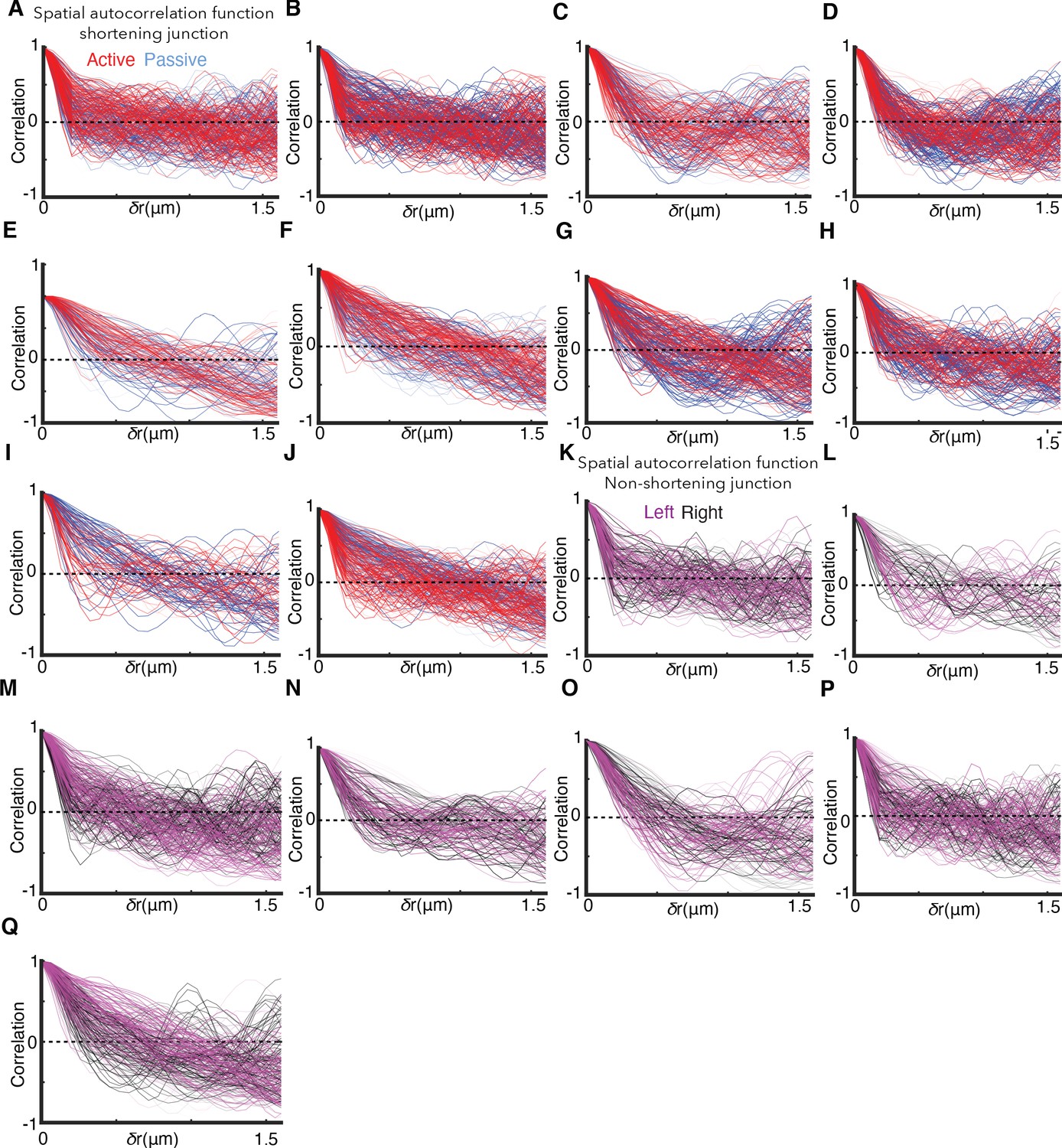 Figures And Data In Mechanical Heterogeneity Along Single Cell-cell ...