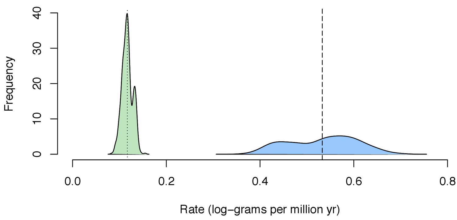 The whale shark genome reveals patterns of vertebrate gene family