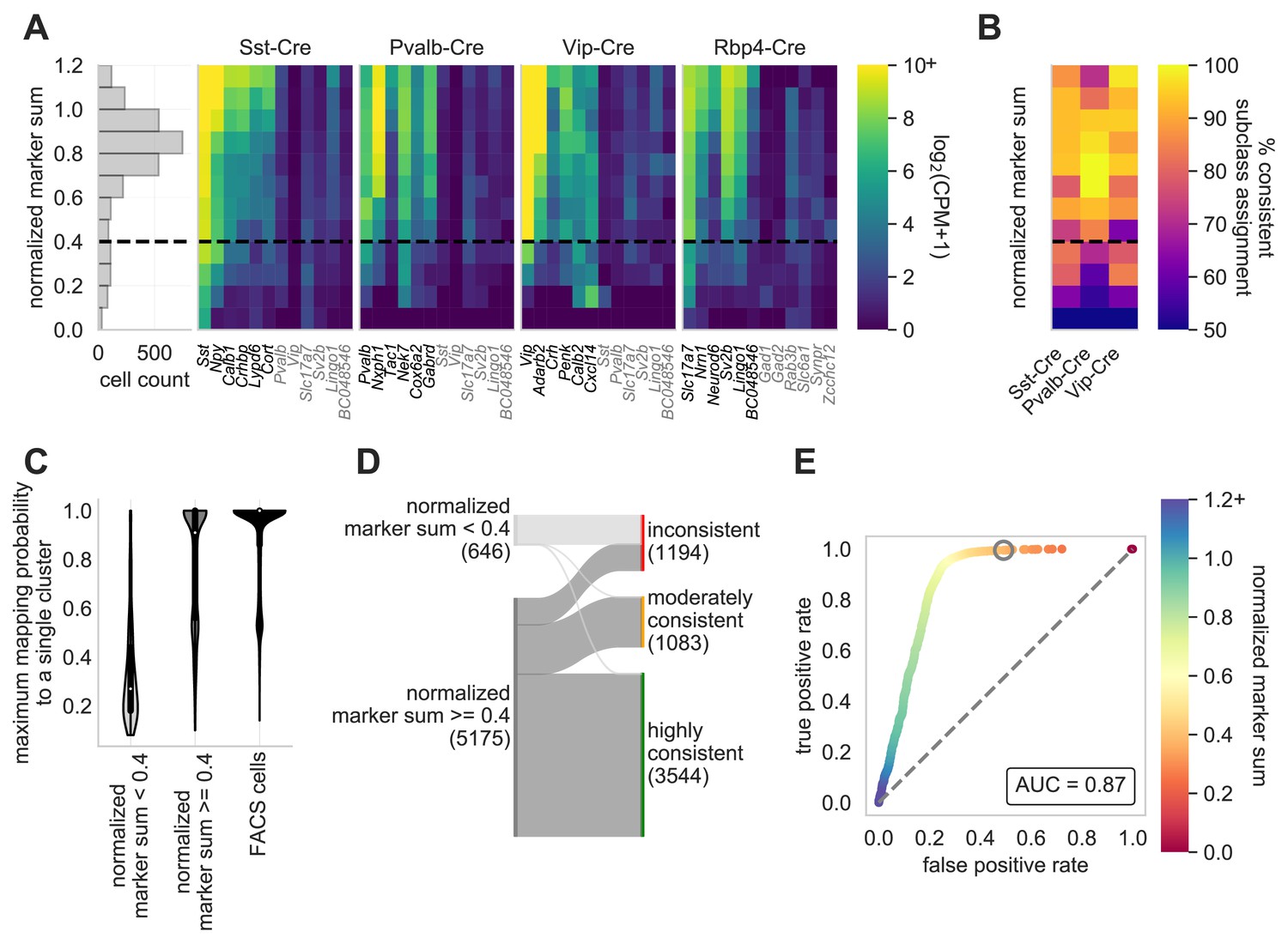 Scaled, high fidelity electrophysiological, morphological