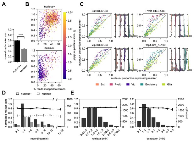 Scaled, high fidelity electrophysiological, morphological, and ...