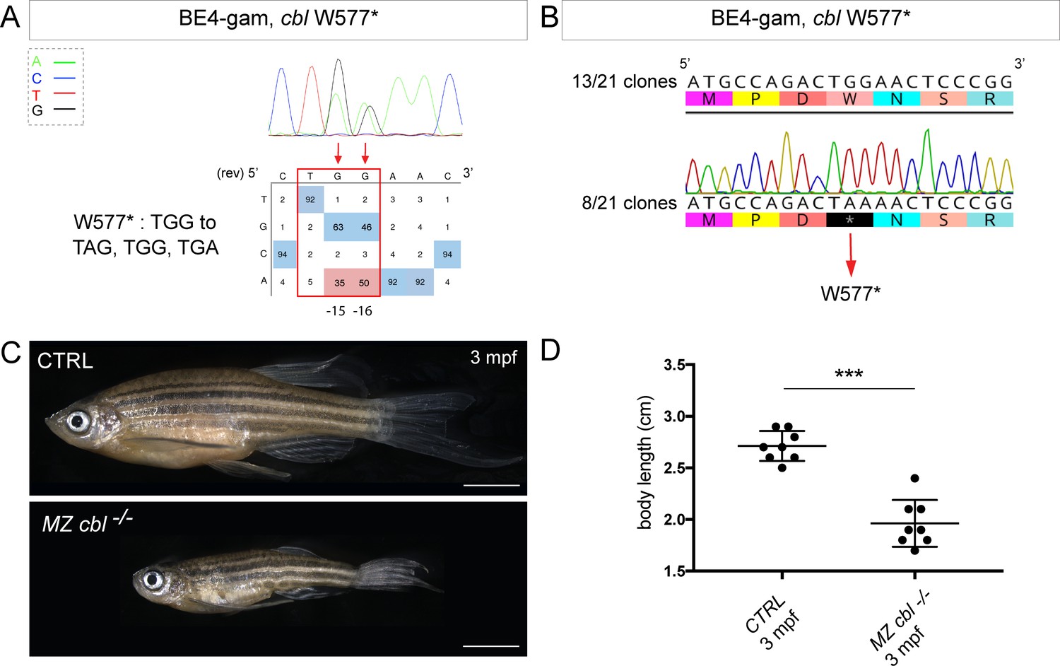 Precise Base Editing For The In Vivo Study Of Developmental Signaling ...