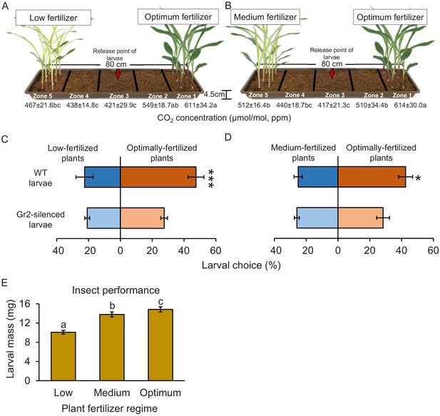 Plant-associated CO2 mediates long-distance host location and foraging ...