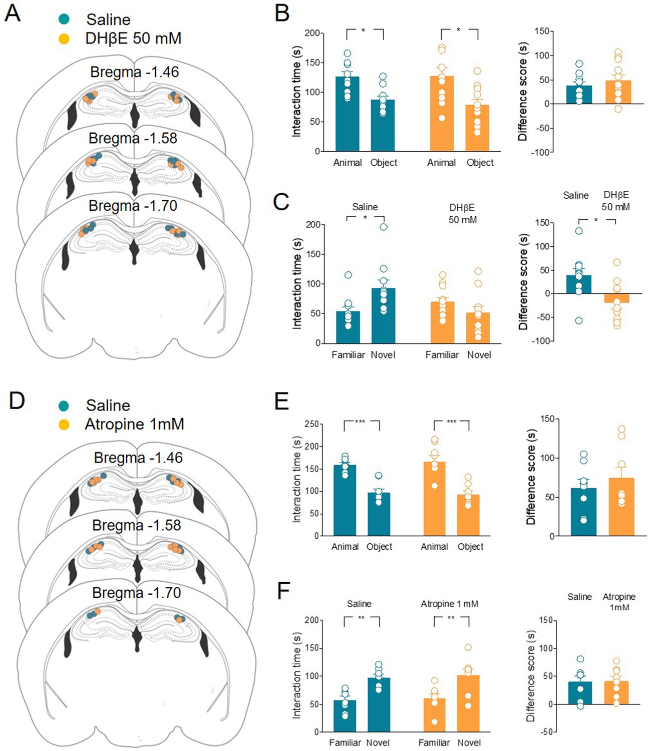 Septal cholinergic input to CA2 hippocampal region controls Septal cholinergic input to CA2 hippocampal region controls