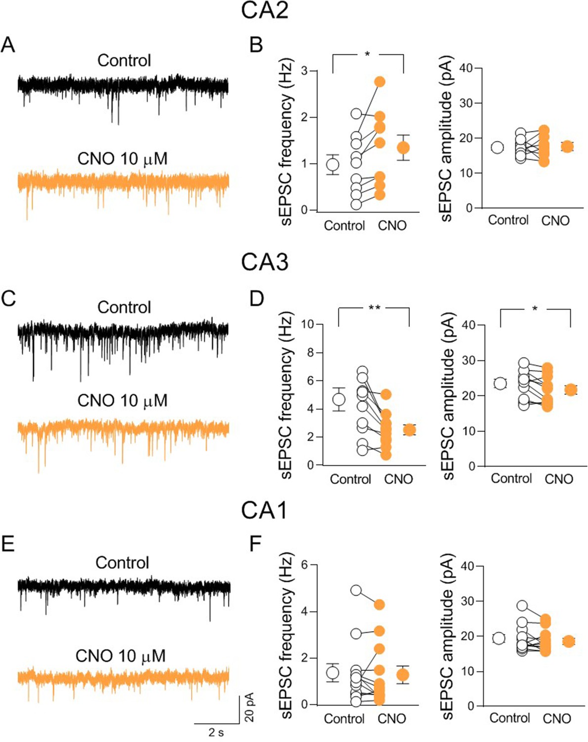 Septal cholinergic input to CA2 hippocampal region controls Septal cholinergic input to CA2 hippocampal region controls