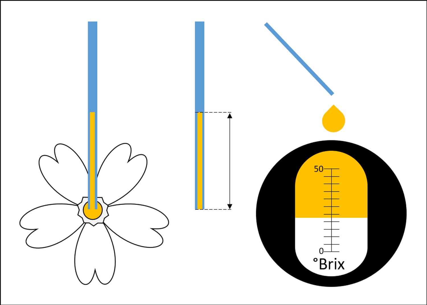 Figures And Data In Inbreeding In A Dioecious Plant Has Sex- And ...