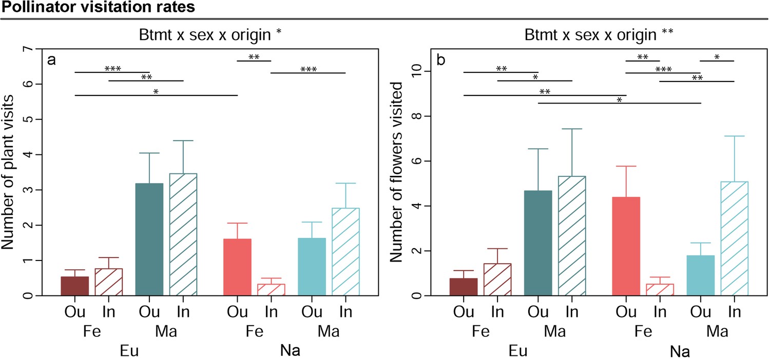 Inbreeding In A Dioecious Plant Has Sex- And Population Origin-specific ...