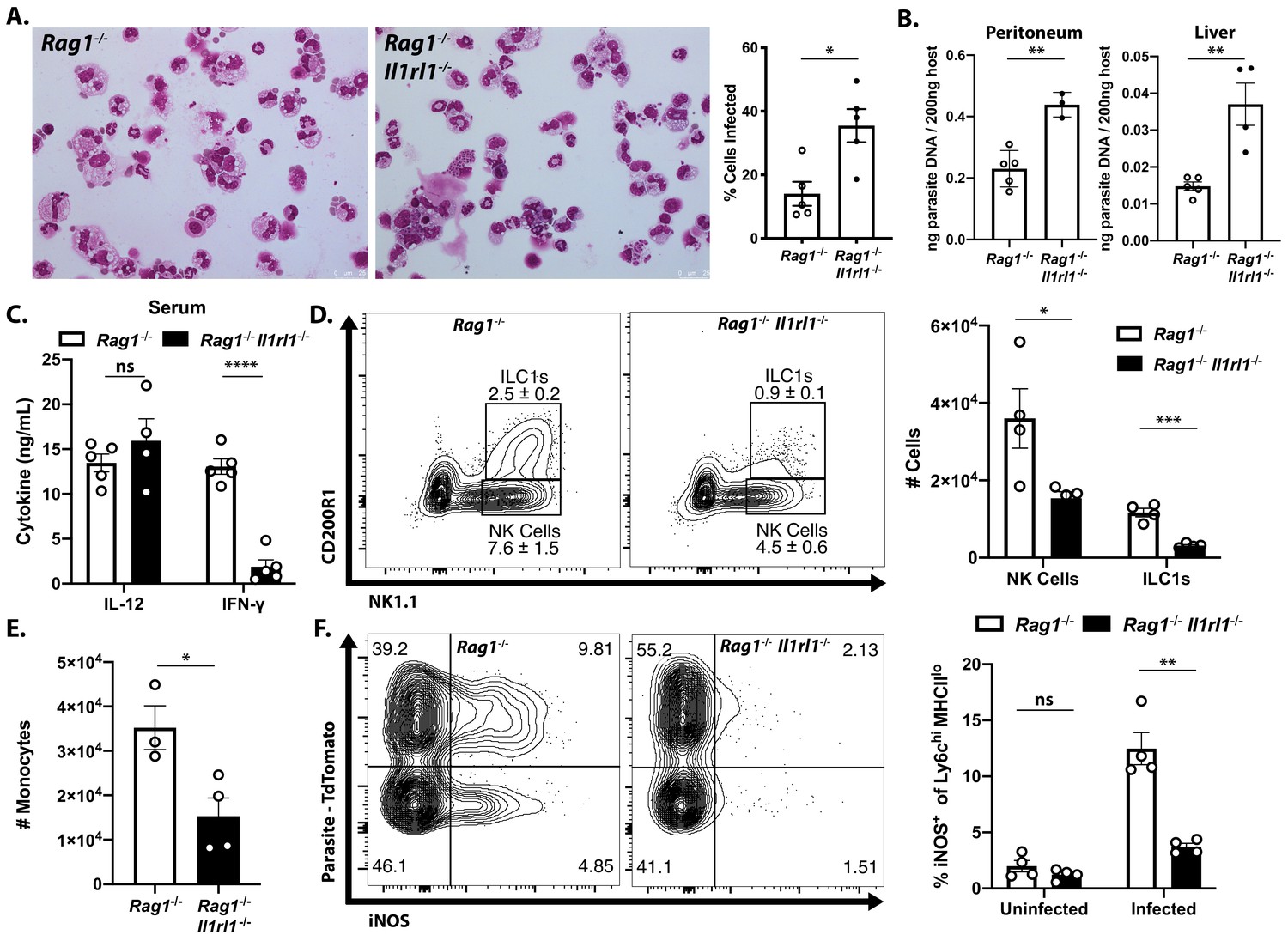 IL 33 promotes innate lymphoid cell dependent IFN γ production required