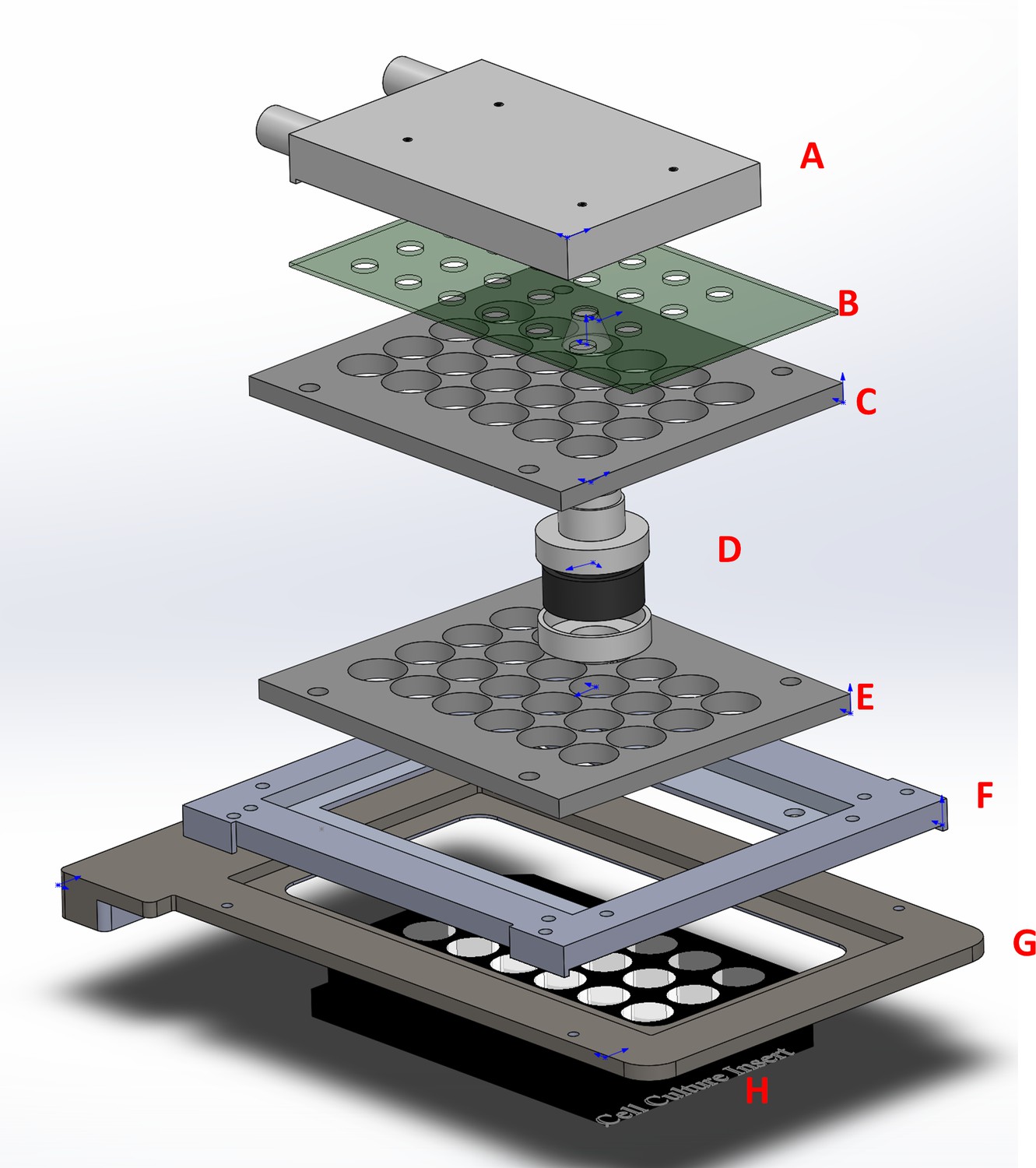 Quantitative control of noise in mammalian gene expression by 