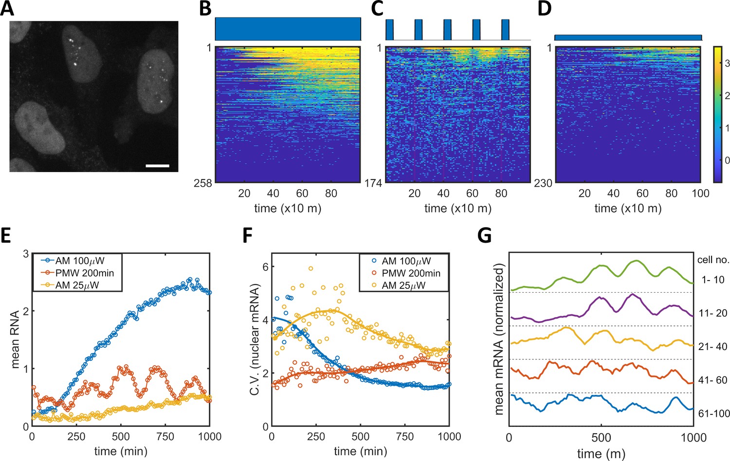 Figures And Data In Quantitative Control Of Noise In Mammalian Gene ...