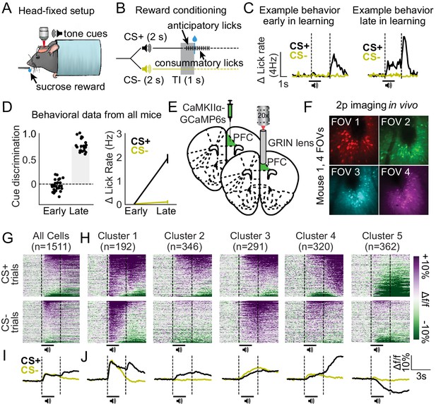 Specialized Coding Patterns Among Dorsomedial Prefrontal Neuronal ...