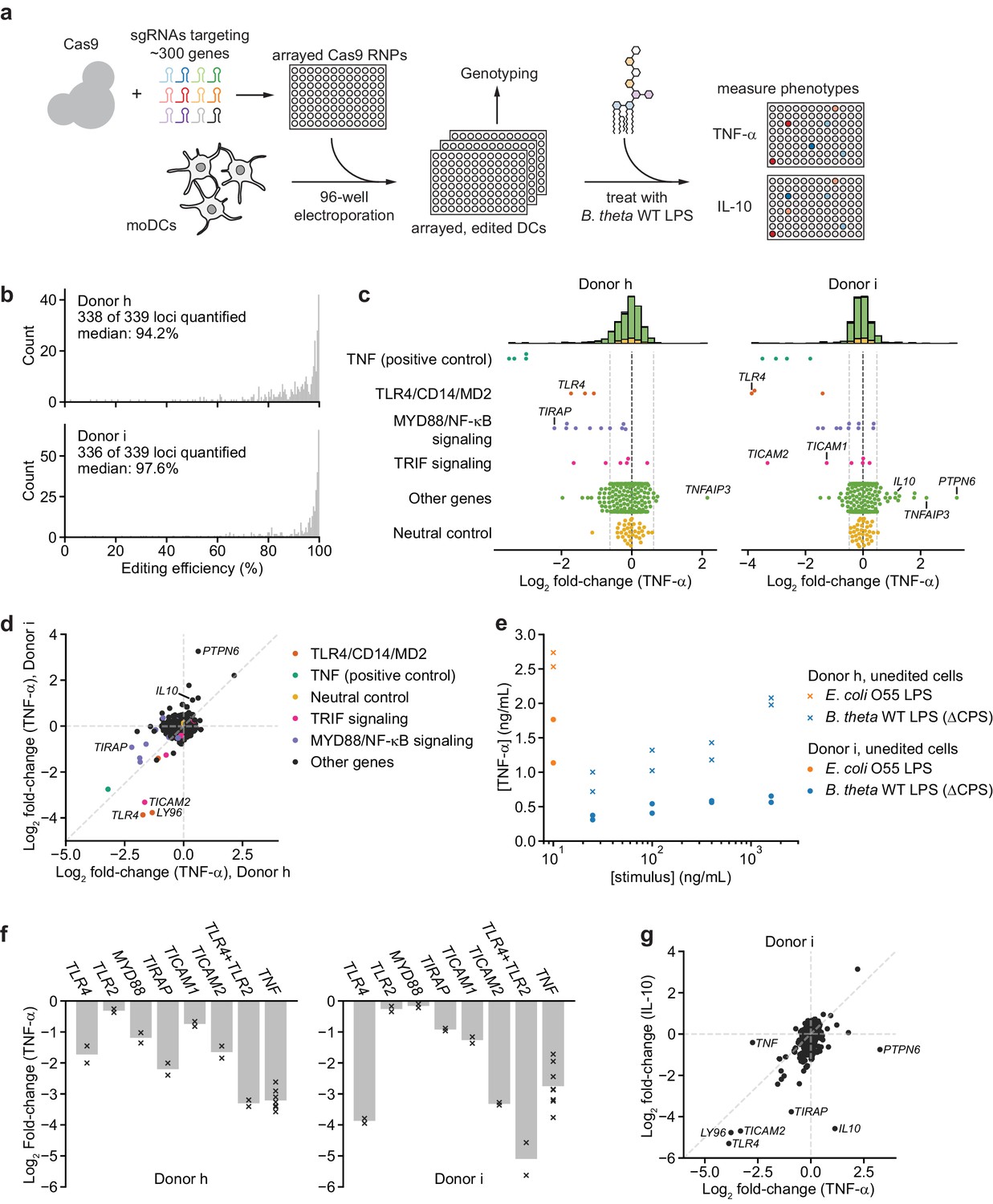 Crispr Based Functional Genomics In Human Dendritic Cells Elife 9526