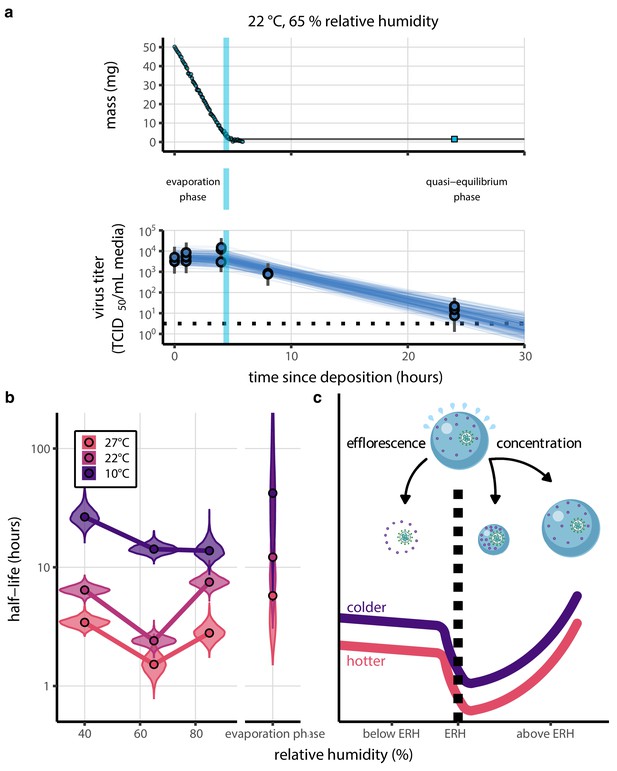 Mechanistic theory predicts the effects of temperature and humidity on ...