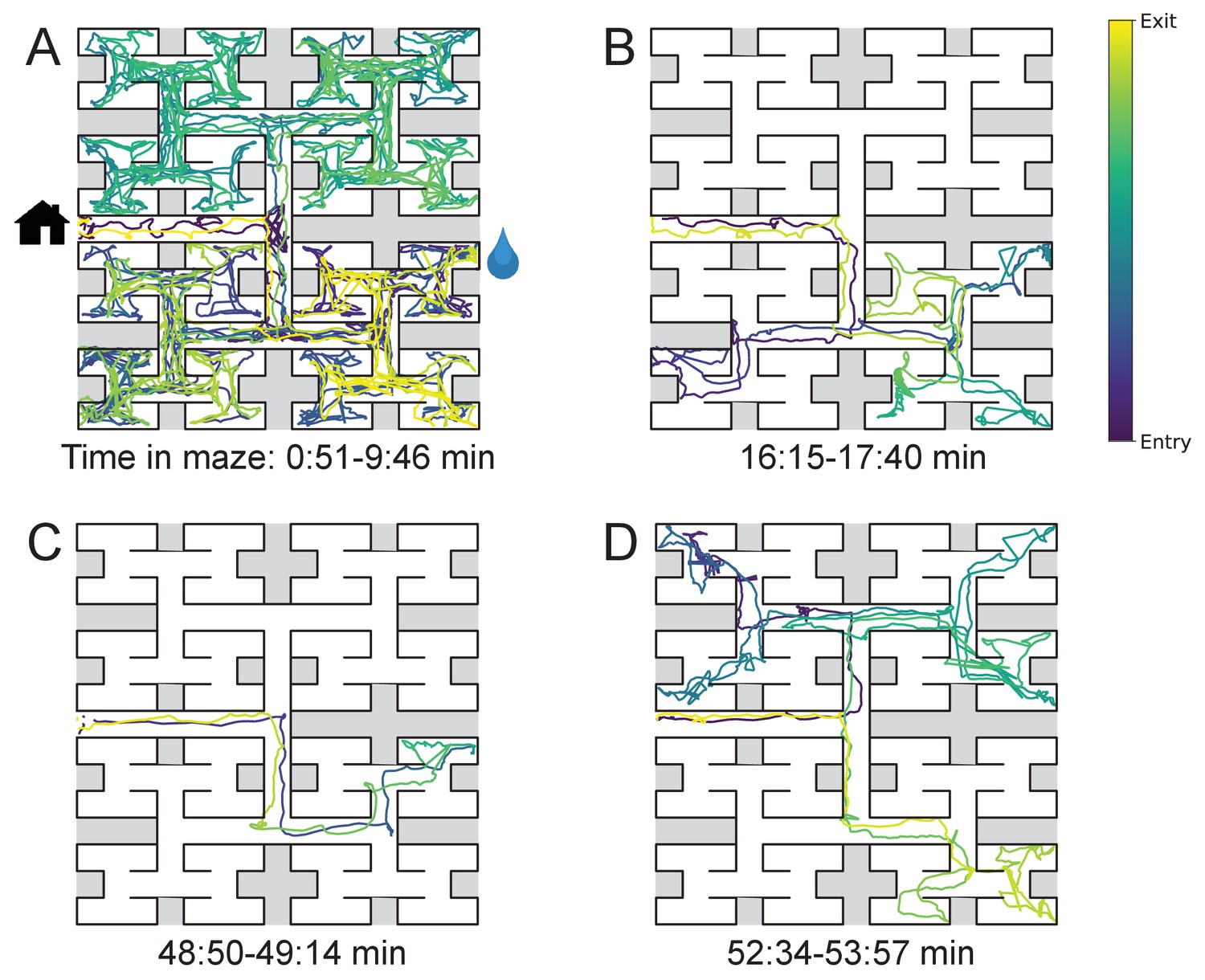 Mice in a labyrinth show rapid learning, sudden insight, and efficient exploration  eLife