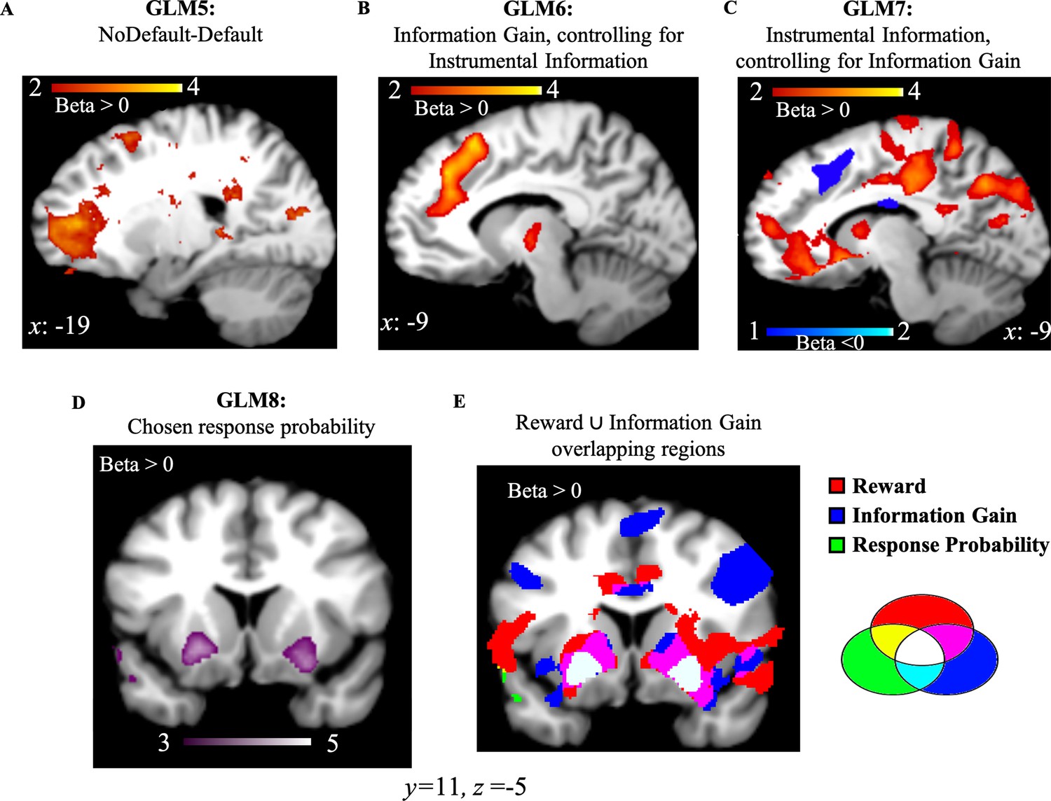 Independent and interacting value systems for reward and information in ...