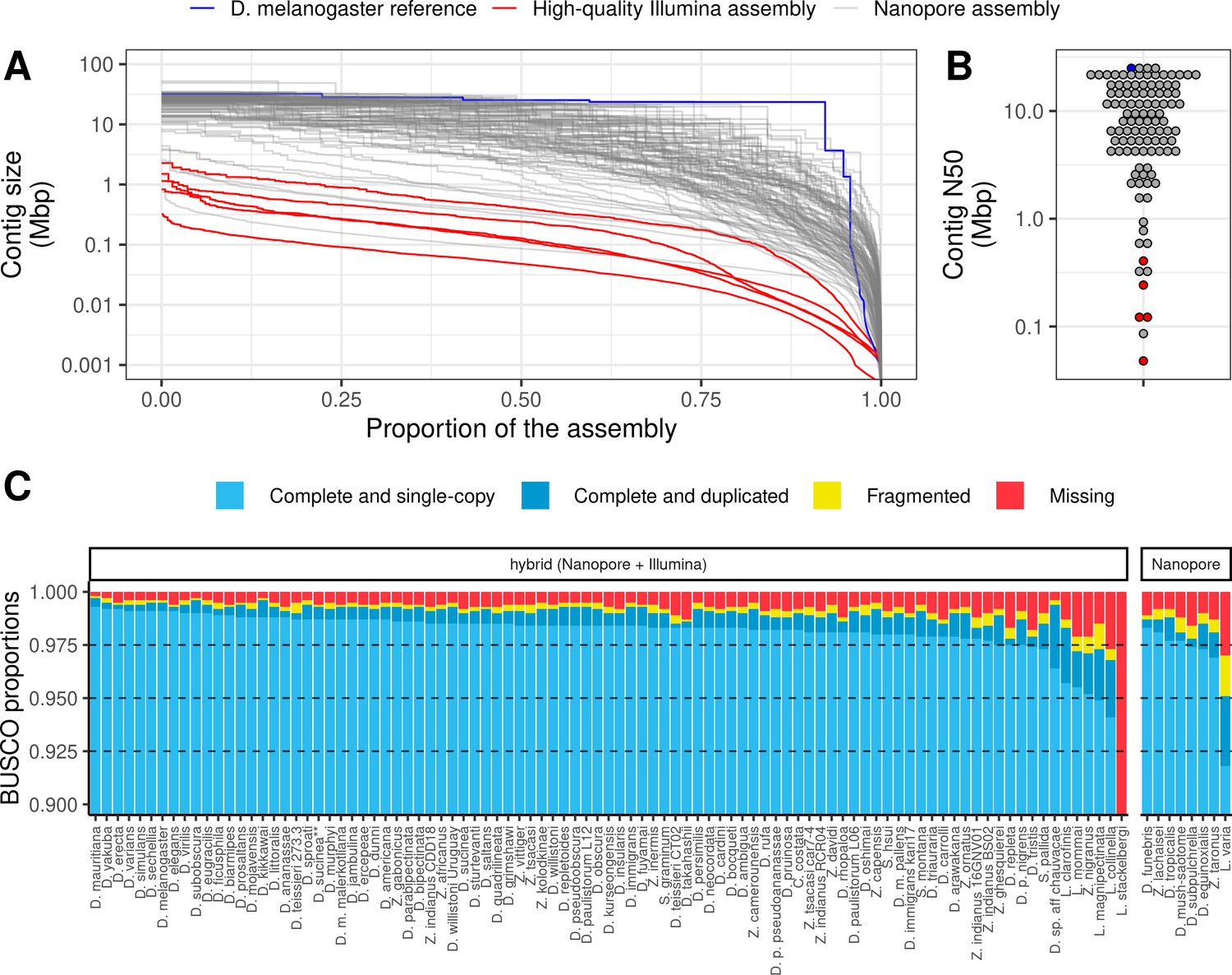 Highly contiguous assemblies of 101 drosophilid genomes | eLife