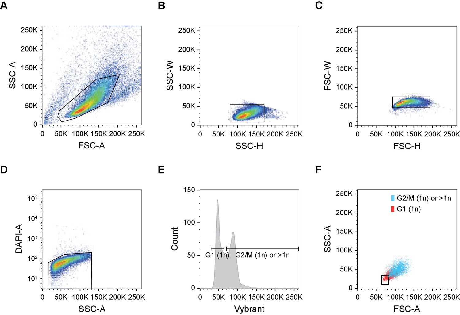 Figures and data in Quantitative live-cell imaging and computational ...