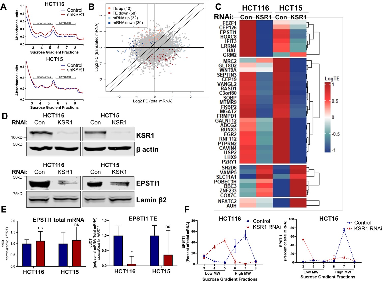 Figures And Data In Ksr And Erk Dependent Translational Regulation Of