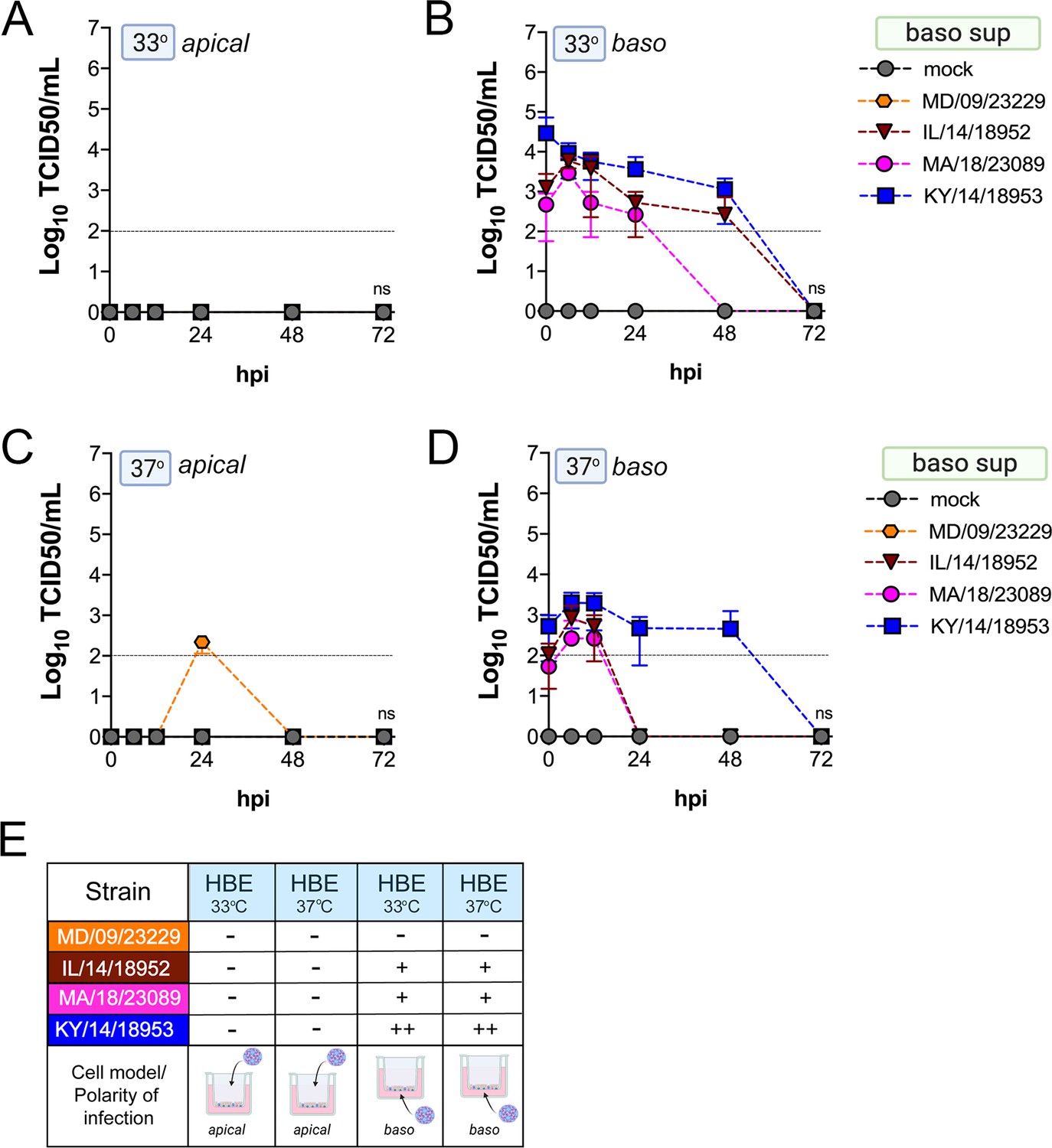 Respiratory And Intestinal Epithelial Cells Exhibit Differential ...