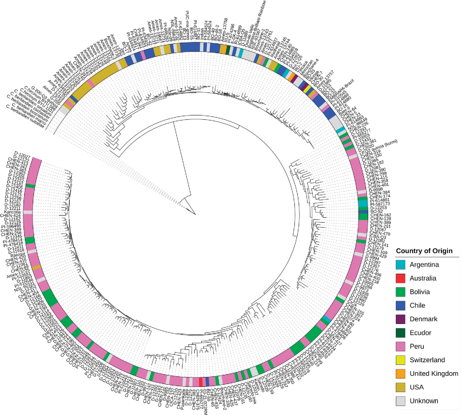 Genome Wide Association Study In Quinoa Reveals Selection Pattern