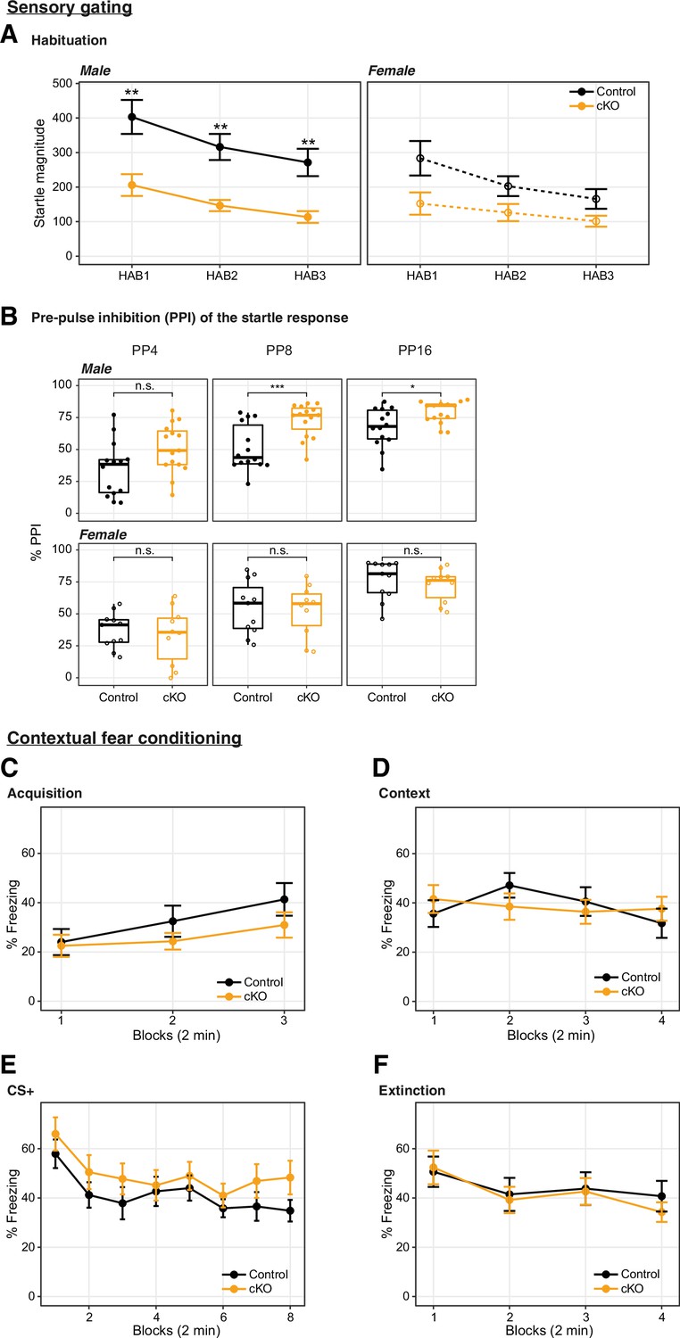 Figures and data in Dnmt3a knockout in excitatory neurons impairs ...