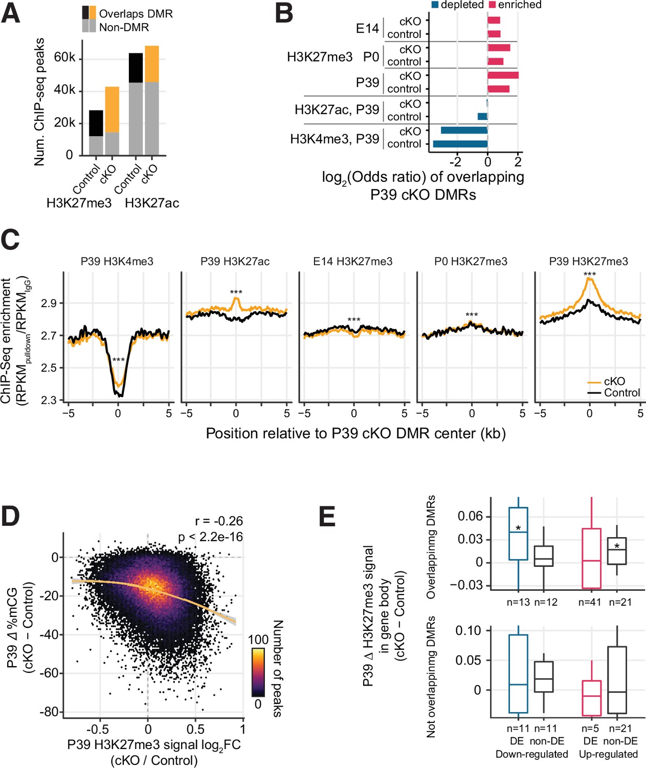 Dnmt3a knockout in excitatory neurons impairs postnatal synapse