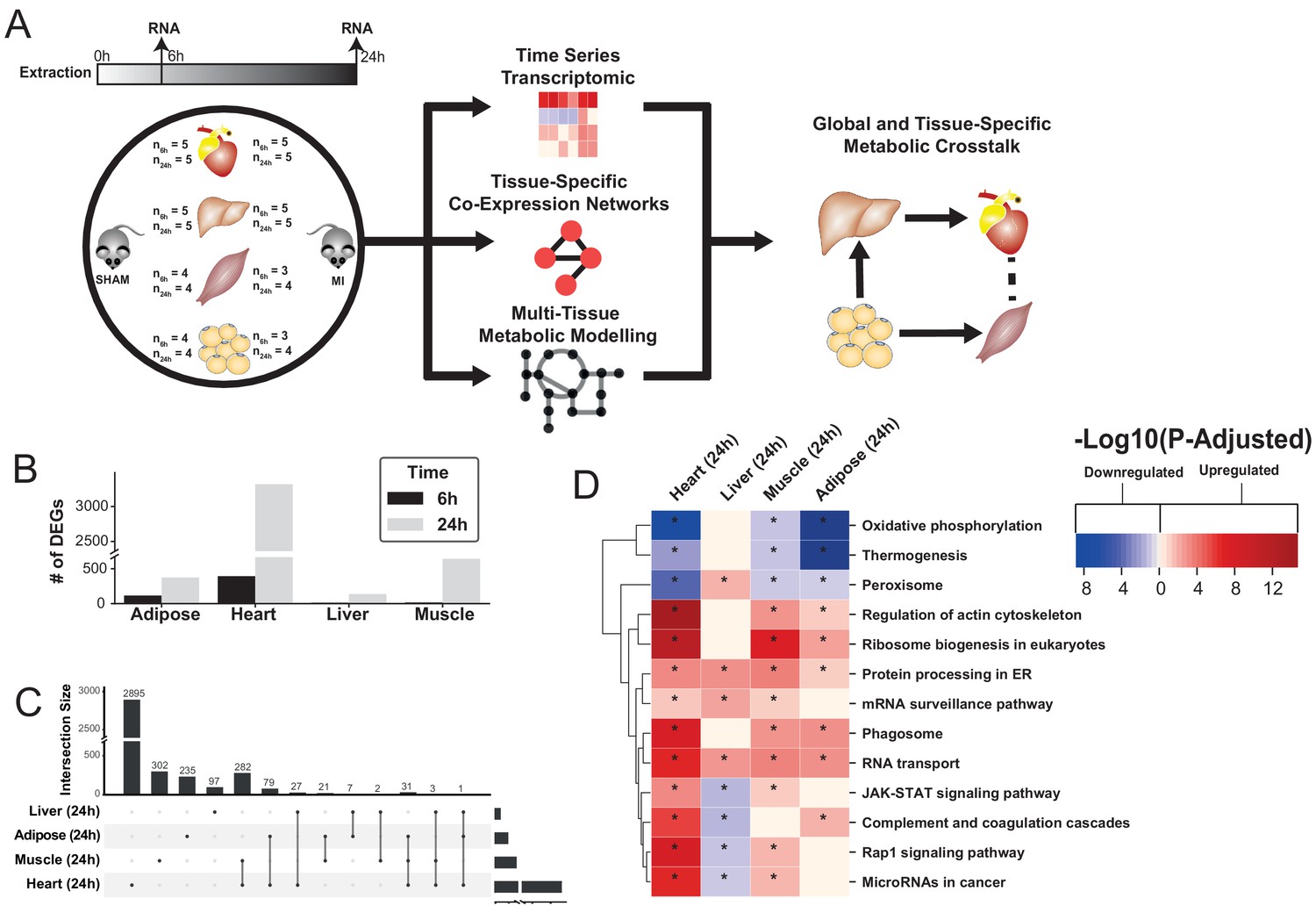 Integrative Transcriptomic Analysis Of Tissue Specific Metabolic