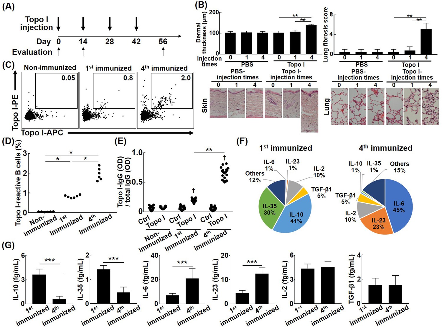 Single-cell-level Protein Analysis Revealing The Roles Of Autoantigen ...