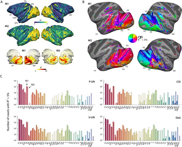 Population receptive fields in nonhuman primates from whole-brain fMRI ...