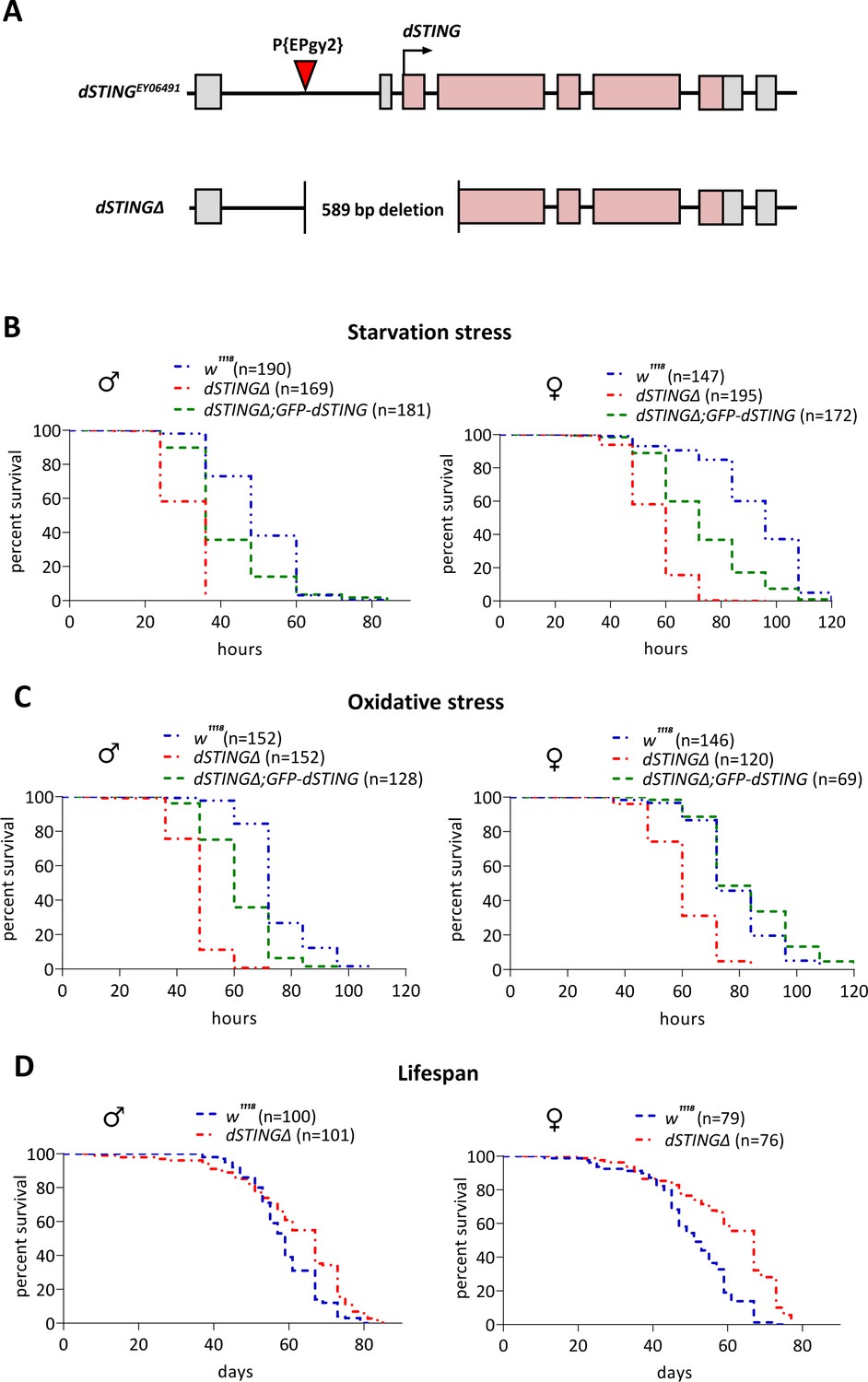 Figures And Data In Drosophila Sting Protein Has A Role In Lipid