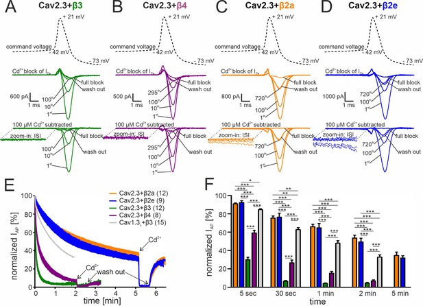 β2-subunit Alternative Splicing Stabilizes Cav2.3 Ca2+ Channel Activity ...