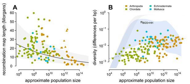 Quantifying The Relationship Between Genetic Diversity And Population ...