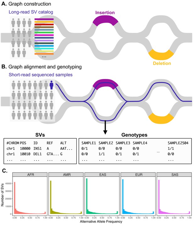 Local Adaptation And Archaic Introgression Shape Global Diversity At ...