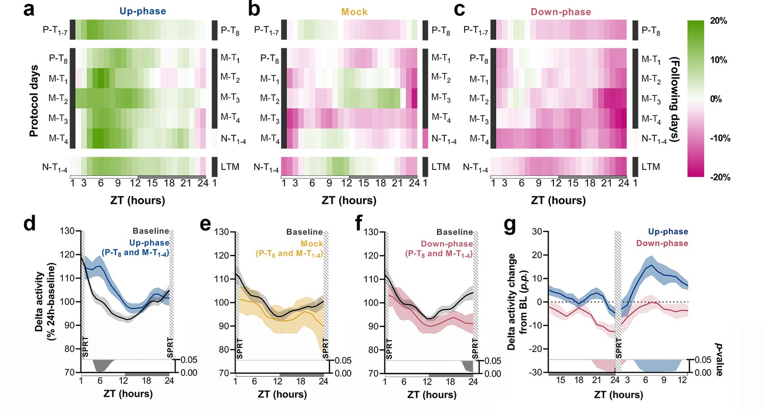 Closed loop auditory stimulation method to modulate sleep slow