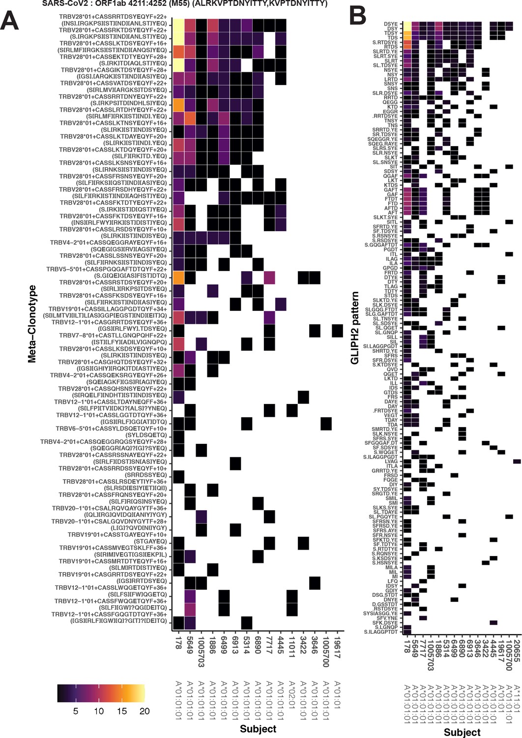 TCR meta-clonotypes for biomarker discovery with tcrdist3 enabled