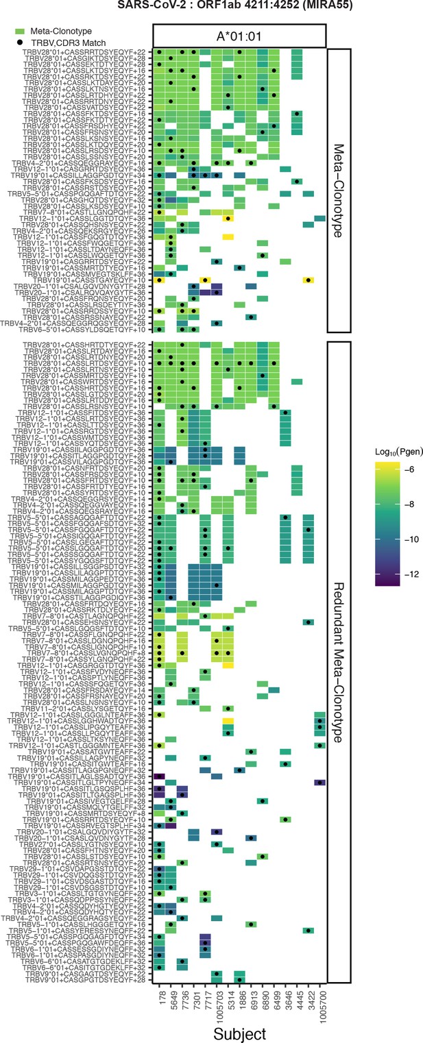 TCR meta-clonotypes for biomarker discovery with tcrdist3 enabled