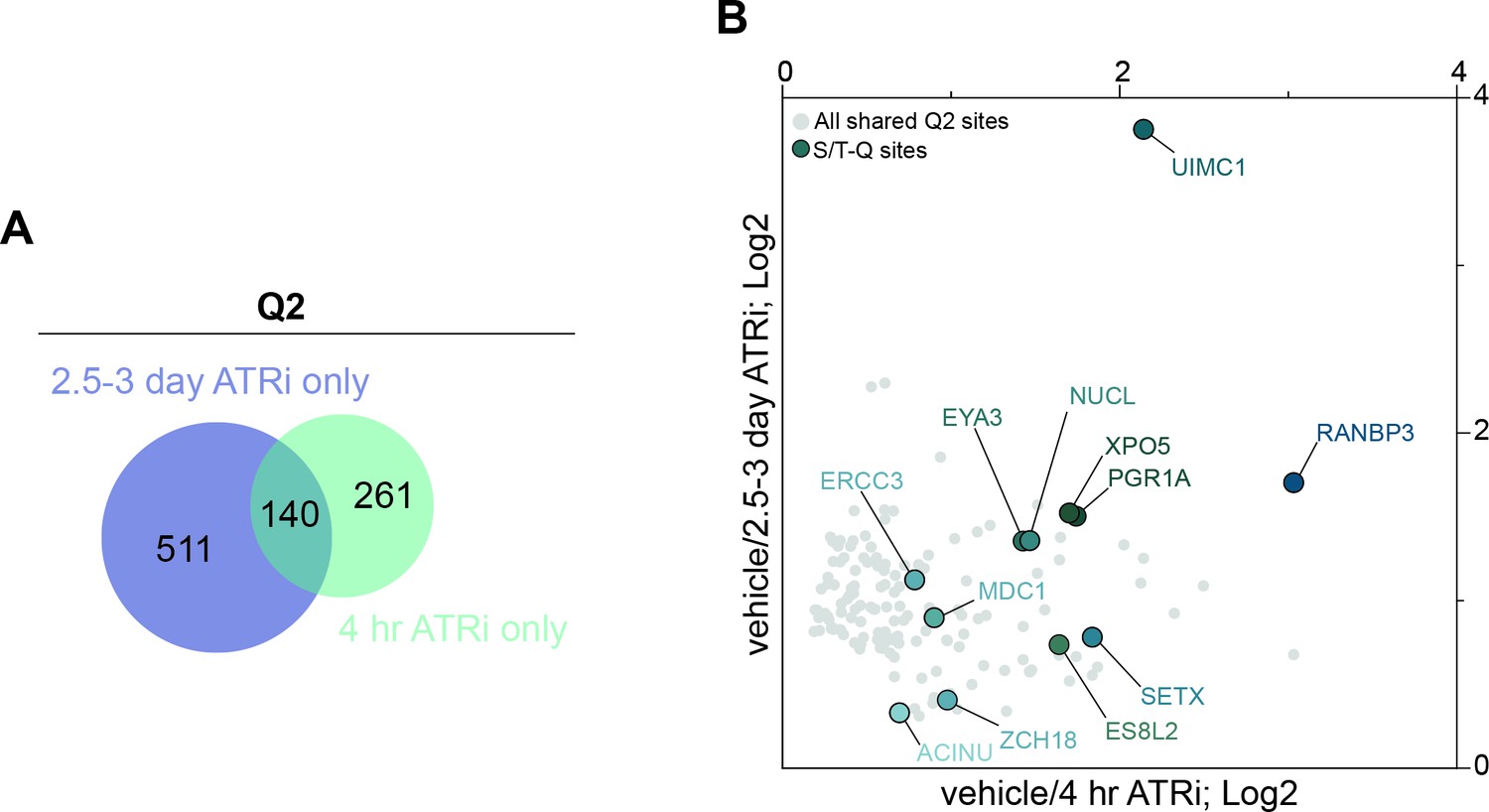 Figures And Data In Phosphoproteomics Of Atr Signaling In Mouse Testes Elife