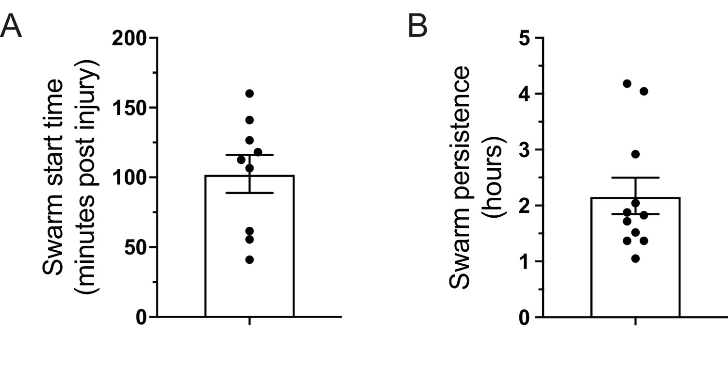 Figures And Data In Pioneer Neutrophils Release Chromatin Within In ...