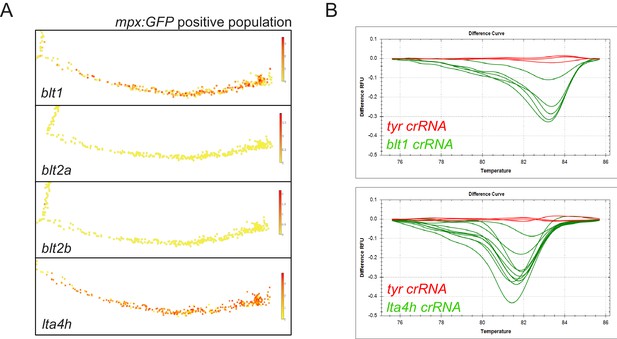 Figures And Data In Pioneer Neutrophils Release Chromatin Within In ...