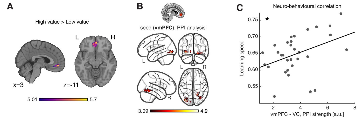 Value signals guide abstraction during learning | eLife