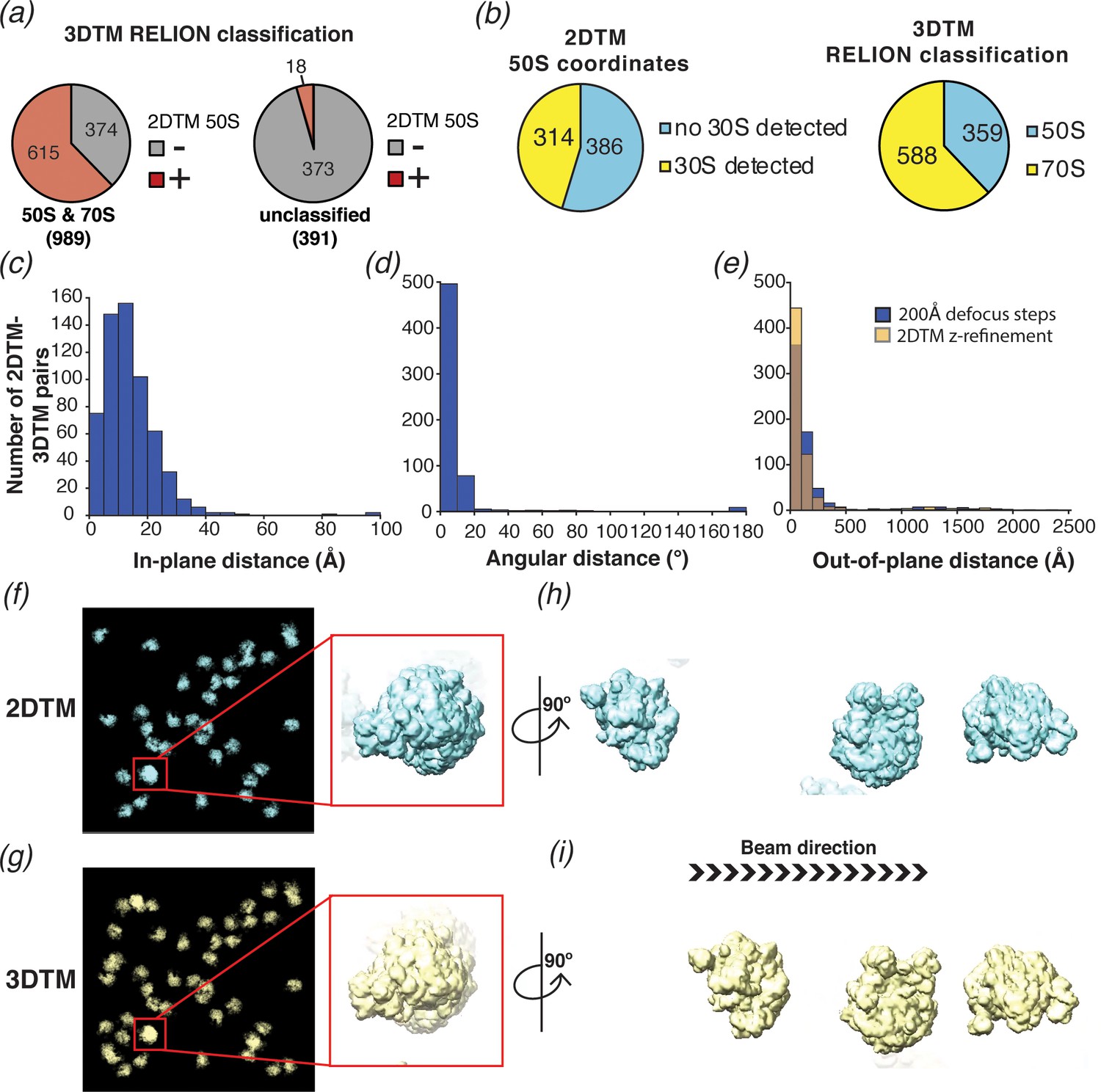 Locating Macromolecular Assemblies In Cells By 2D Template Matching ...