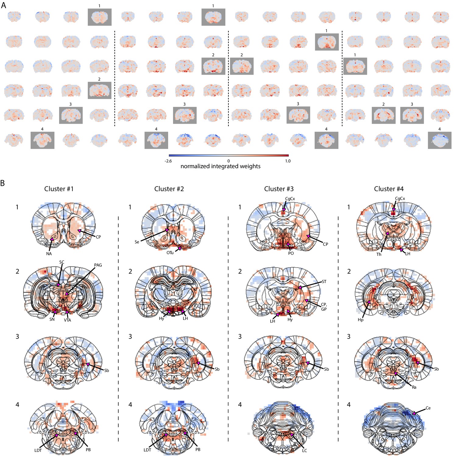 Decoding The Brain State Dependent Relationship Between Pupil Dynamics