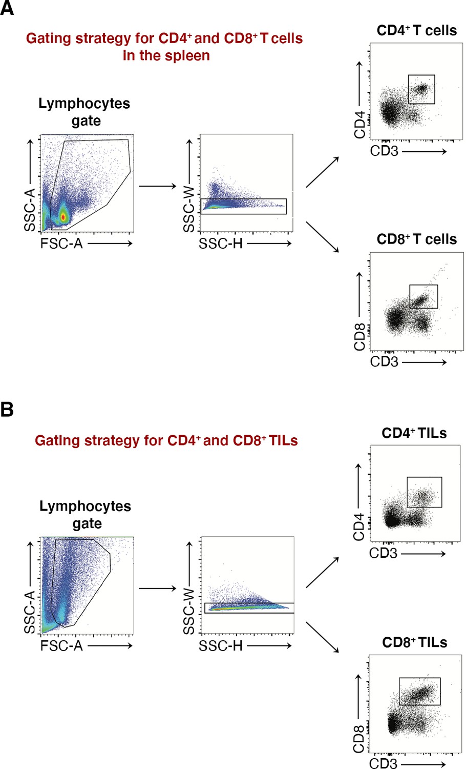 Figures And Data In Mtor Dependent Translation Drives Tumor Infiltrating Cd8 Effector And Cd4 2667