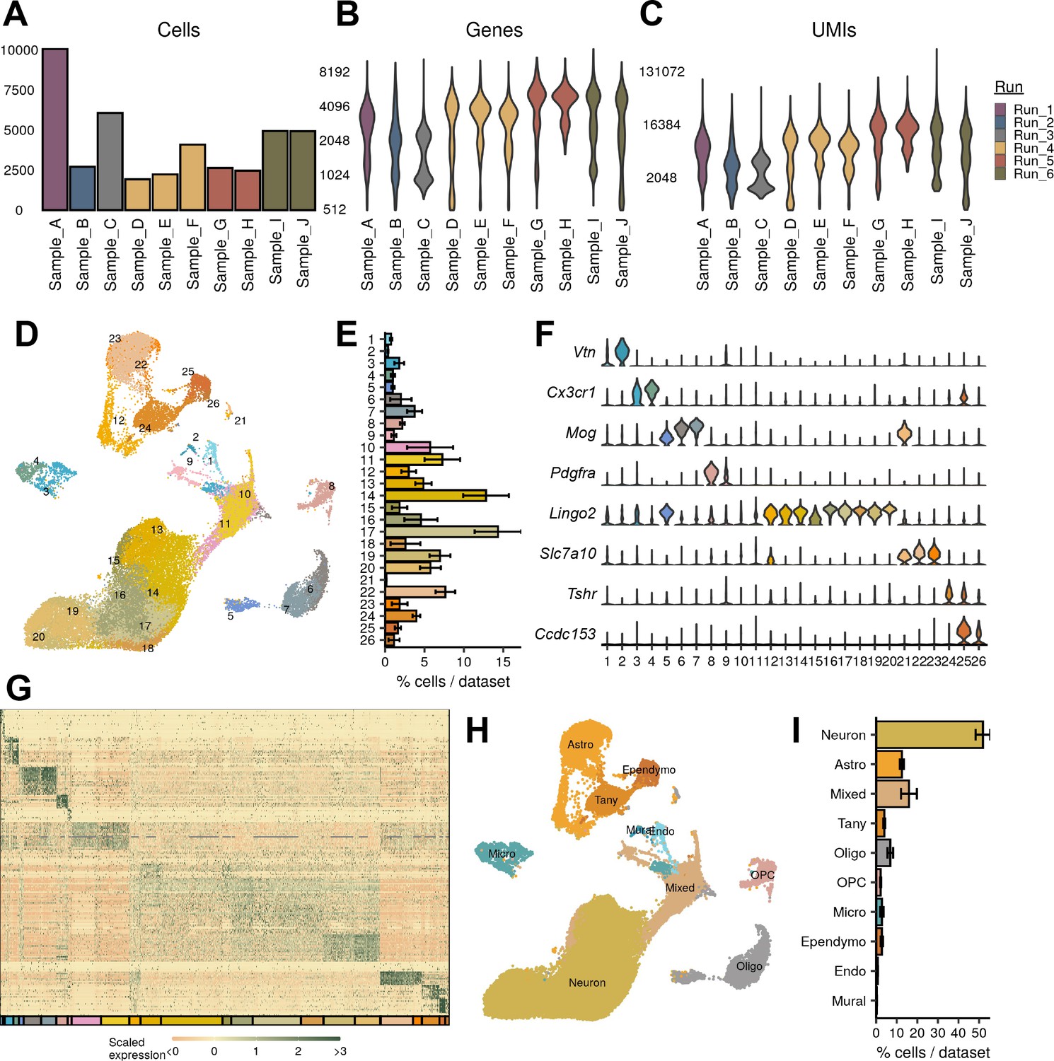 Cross-species analysis defines the conservation of anatomically