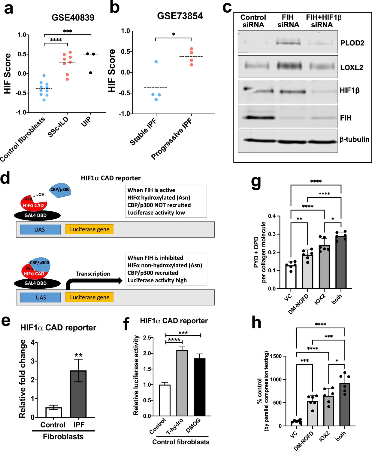 PDF) Hypoxia / Pseudohypoxia-mediated Activation of HIF1A in Cancer