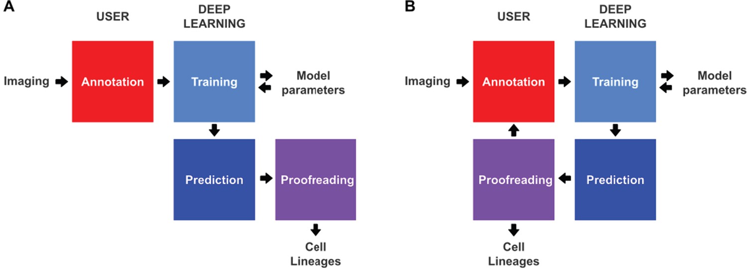 Incremental sales deep learning