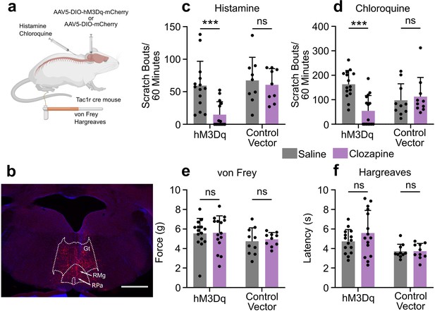 Inhibition of itch by neurokinin 1 receptor (Tacr1) -expressing ON ...