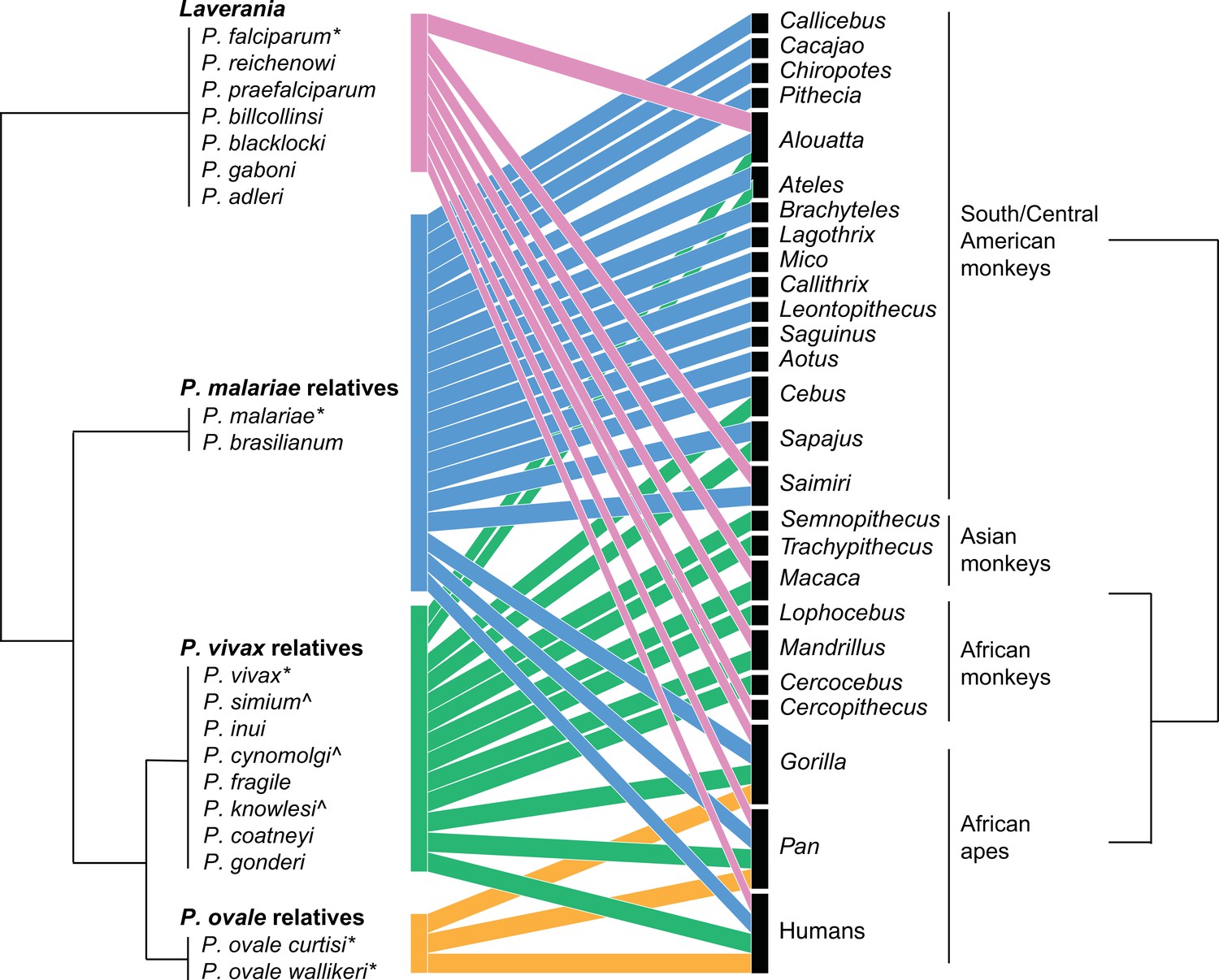 Factors influencing terrestriality in primates of the Americas and  Madagascar