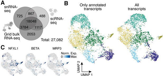 Figures And Data In Spatial Transcriptomic And Single-nucleus Analysis ...