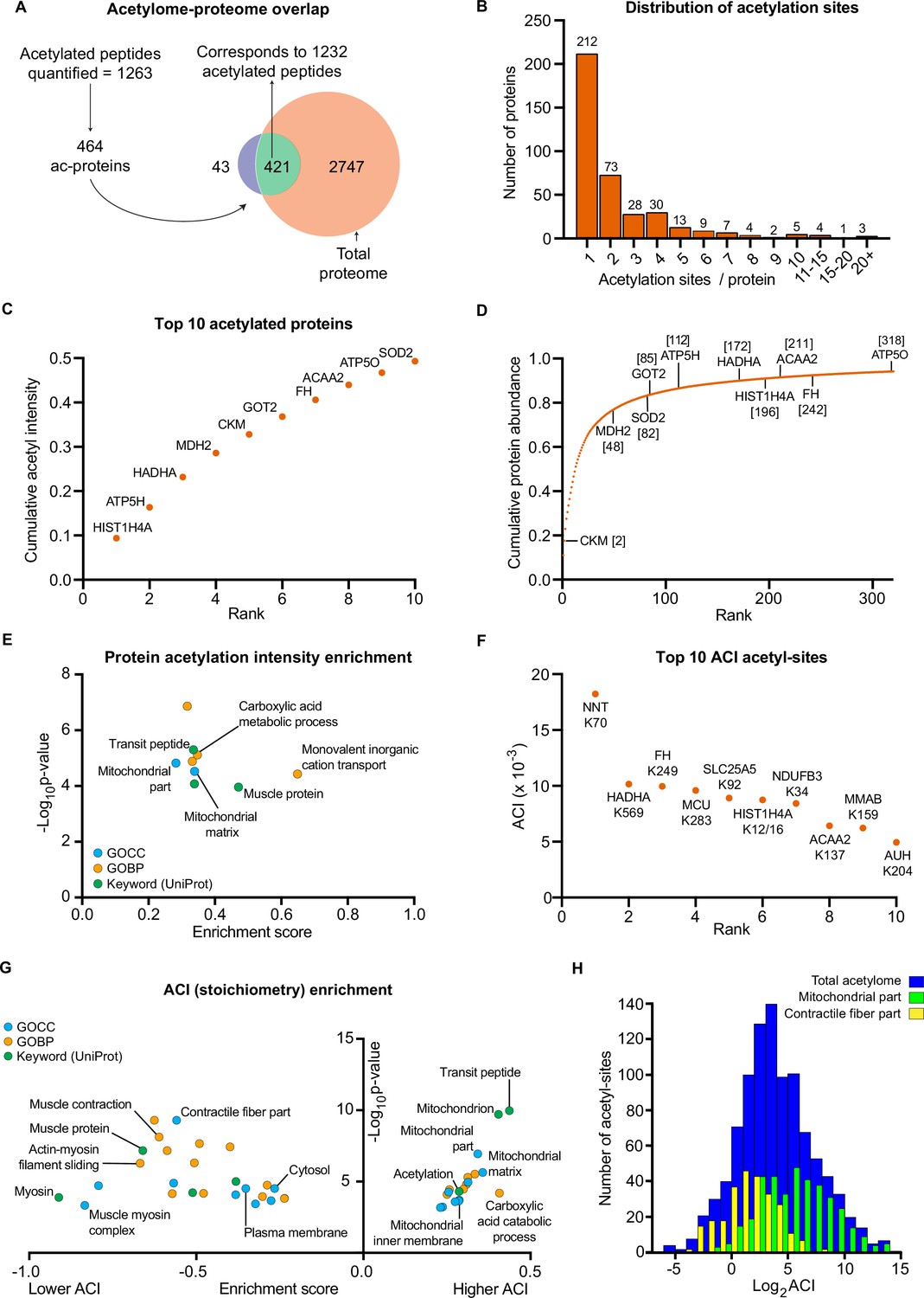 High-intensity interval training remodels the proteome and