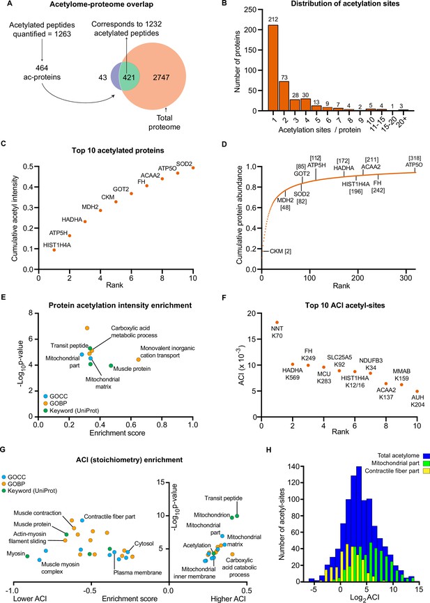 High-intensity interval training remodels the proteome and acetylome of ...